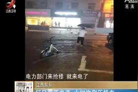 江西东乡：狂风暴雨来袭 大树吹倒压轿车视频封面