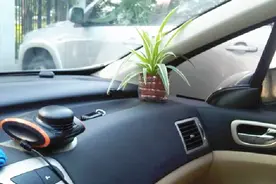 为什么车内最好不要放香水？车内装饰品三大“禁忌”，涨知识了！视频封面