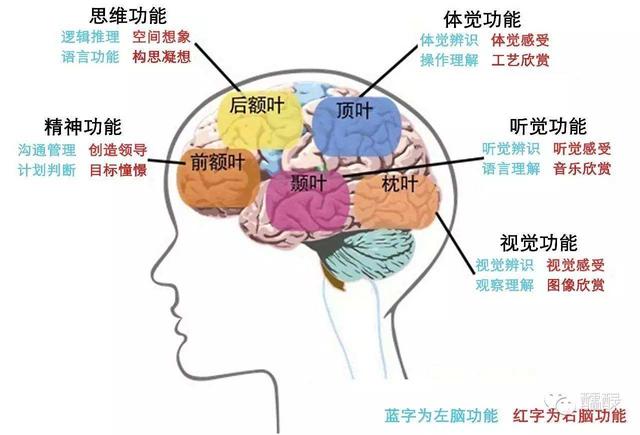 关于心理学公理的论述完整版表述，深刻剖析意识机制
