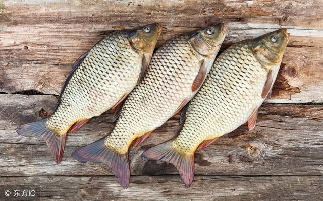 孕妇适合吃这4种鱼，身体棒棒，宝宝更健康