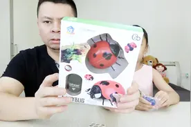 拆箱试玩“七星瓢虫”，可以爬，可以转圈，眼睛居然还是可以发光