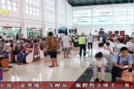 桂林 新汽车南站启用 还有微信购票系统 网友：厉害了我的桂林视频封面