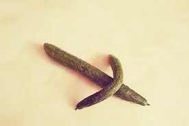 存放黄瓜别放冰箱，卖菜阿姨教我一招，放10天都新鲜，太实用了视频封面