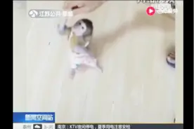 网购猕猴当宠物 这是犯法的！