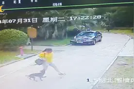 江苏南通：恶犬小区内作恶 两小孩被咬伤视频封面