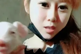 湖北黄石，90后农村养猪妹子，给猪打针，喂饲料，勤劳又善良视频封面