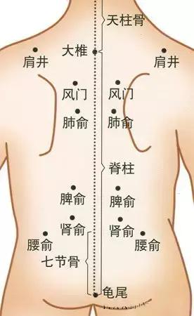 太难找的穴位保健手册,最全人体穴位解秘!