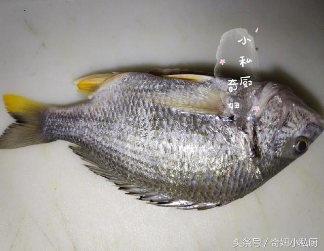 黄翅鱼鱼鳞