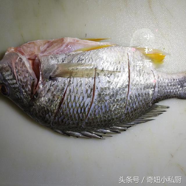 黄翅鱼鱼鳞