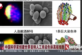 世界上将出现“人工”新生物 这多亏了中国科学家的新发现视频封面