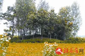 相传是樊哙墓 村民自发保护图片