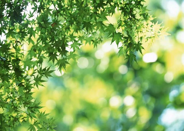 晨读丨其实你本来就很美