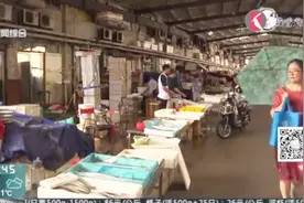 挡风玻璃放置恐怖装饰 遮挡视线已属违法视频封面