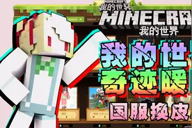「仙草」我的世界《网易MC盒子换皮肤》国服组件皮肤软件教程攻略视频封面