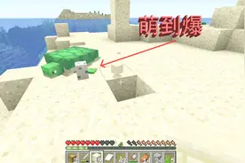 我的世界海洋版生存3：海龟产蛋的秘密，萌到爆