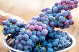 葡萄好吃难清洗，学会这个清洗方法，葡萄带皮都可以一起吃