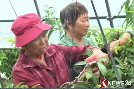 台风“云雀”今天上午登陆上海金山，记者风中站立都困难