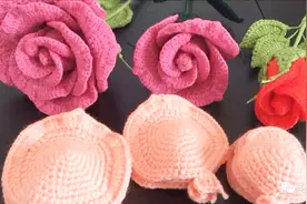 泰国小姐姐教你钩玫瑰花 第2集 共5集视频封面