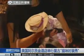 萌！猫咪时装秀 吸睛十足视频封面