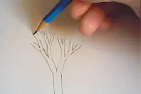 几分钟用简单的方法教你画一棵大树！视频封面