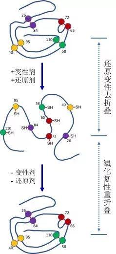 诺奖级科研成果在眼前却被忽略，奥秘何在？｜科学春秋