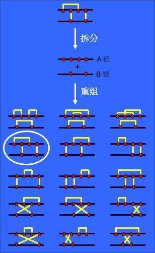 诺奖级科研成果在眼前却被忽略，奥秘何在？｜科学春秋