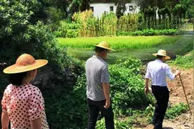 新闻调查｜一个乡村振兴“规划师”的乡建实践视频封面