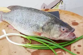 这才是清蒸鲈鱼的正确做法，鱼肉鲜嫩无腥味，好吃到流口水！