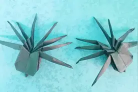 折纸青蛙早就过时了，现在流行蹦蹦跳跳的折纸蜘蛛，恶搞整人专用视频封面