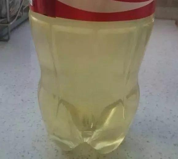 啤酒里加点料，花喝了呼呼长，一夏天蹿3米！