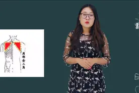 身上有4大“黄金三角区”，保护好它们，治病防病全靠它！