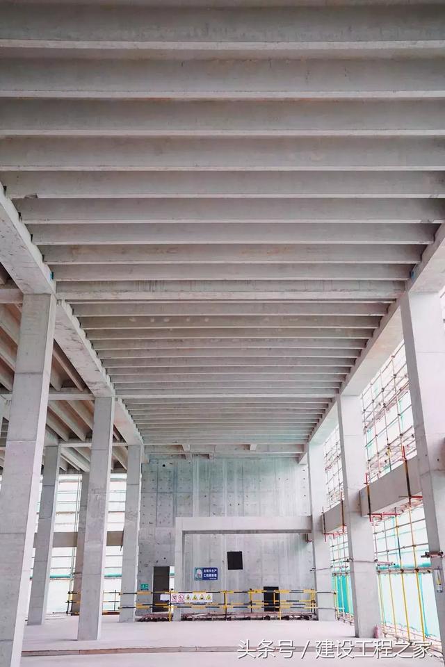 t板是什么,「韭菜公社」0822一字板,t字板研究 - 冷求网