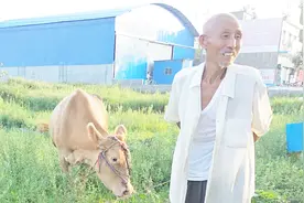 养牛公牛值钱还是母牛值钱？农村大爷说出其中门道，他说的对吗