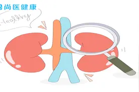 人肾脏的正常大小是多大？这些冷知识你知道吗？每个人的都不同