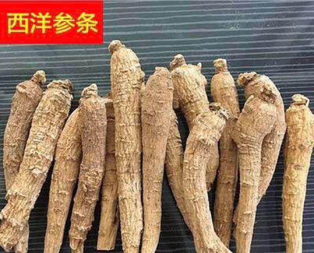 花胶过安检 2026年花胶可以带过关吗