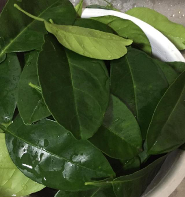 5种可以去腥味的"叶子",爱吃肉的人不可错过,你知道几种?