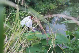 经常去钓鱼，鱼获太多怎么办？大部分钓友都会这样做视频封面