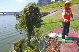 浏阳河保洁员：用汗水呵护一泓碧水图片