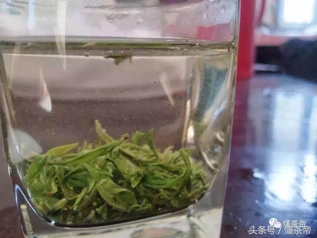 茶也要脱毛！是和人一样，为了好看吗？