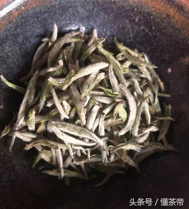 茶也要脱毛！是和人一样，为了好看吗？