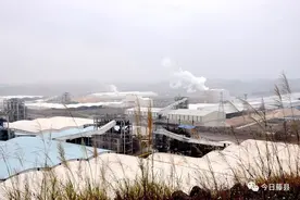 多元拉动协调发展丨藤县上半年县域经济延续稳中向好态势图片