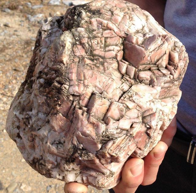 发明剪刀之前，人类怎么剪指甲？最长的指甲有多长？