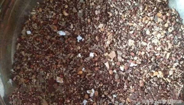 保健砂秘密配方，还不收藏等什么？