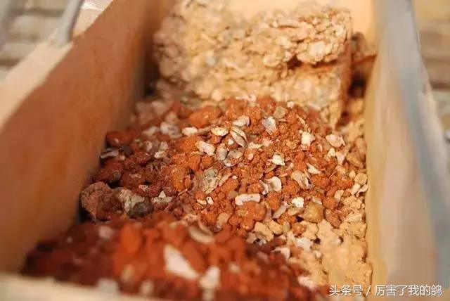 保健砂秘密配方，还不收藏等什么？