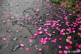 韩愈七绝10首，读懂才知人生实属不易图片