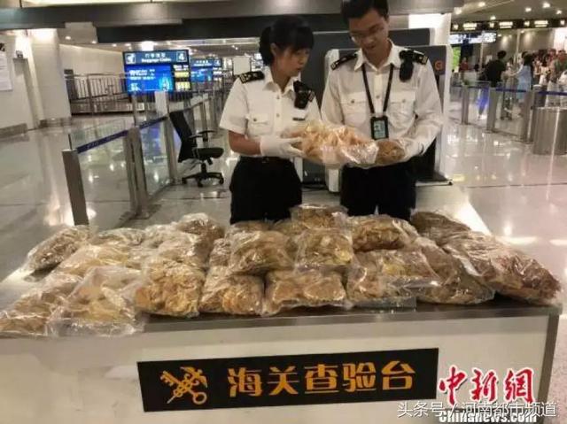 澳门可以带花胶回大陆吗 澳门可以带花胶回大陆吗现在