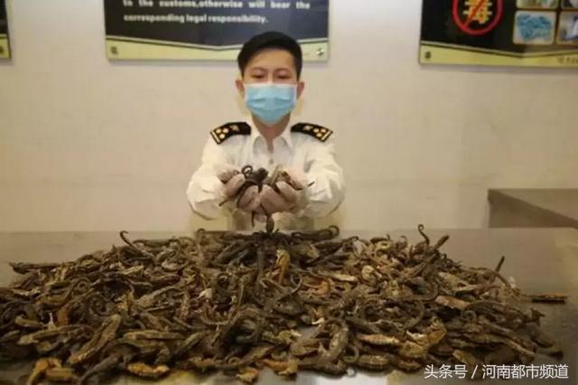 燕窝花胶可以带出境吗 花胶燕窝可以从香港带回内地吗