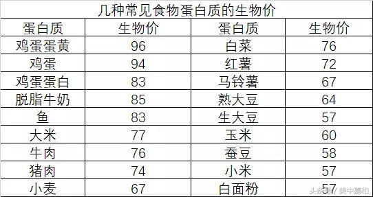 鑲跨槫鎮ｈ€呴渶瑕佺殑浼樿川铔嬬櫧锛屾垜浠簲璇ュ埌鍝噷鍘绘壘锛? onerror=