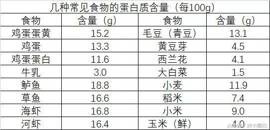 鑲跨槫鎮ｈ€呴渶瑕佺殑浼樿川铔嬬櫧锛屾垜浠簲璇ュ埌鍝噷鍘绘壘锛? onerror=