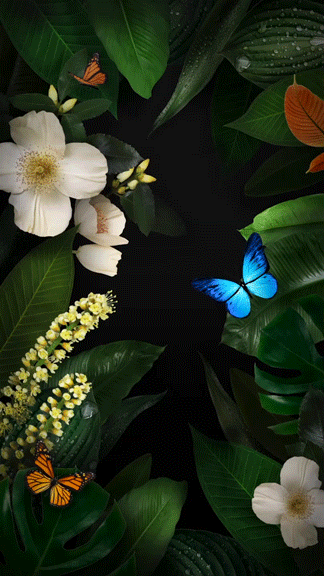 *本文来自花粉俱乐部论坛-小小甜华为mate10内置动态壁纸,带来完美的